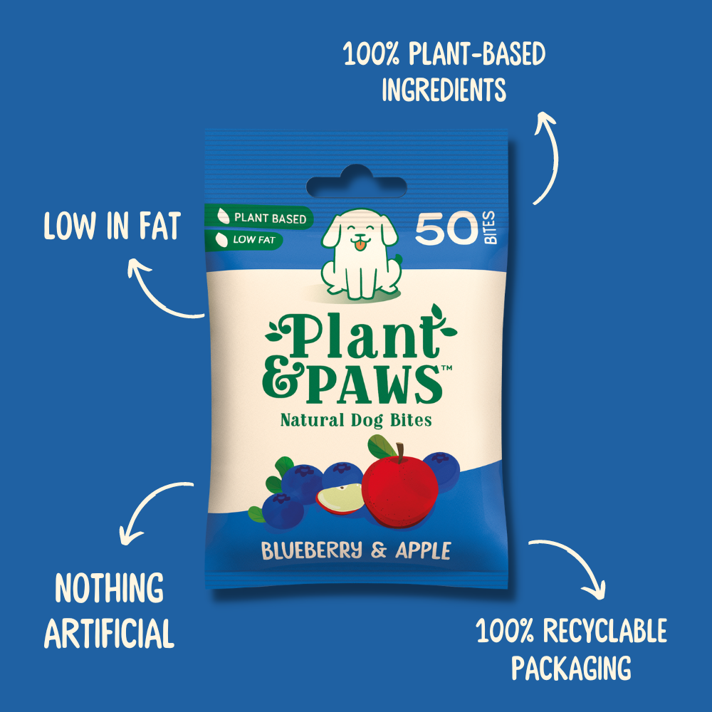 10 Pack Natural Bites Blueberry and Apple