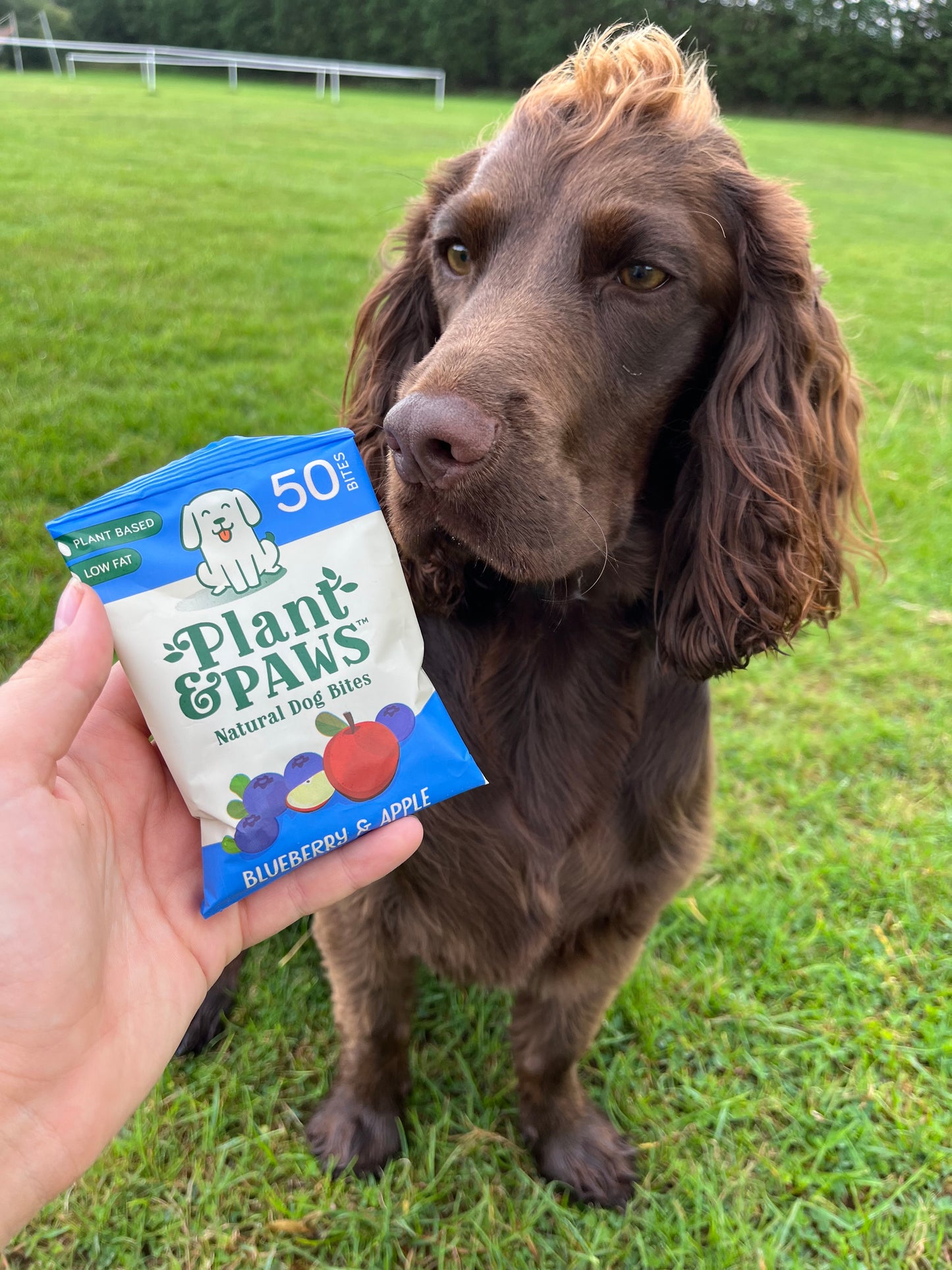 10 Pack Natural Bites Blueberry and Apple