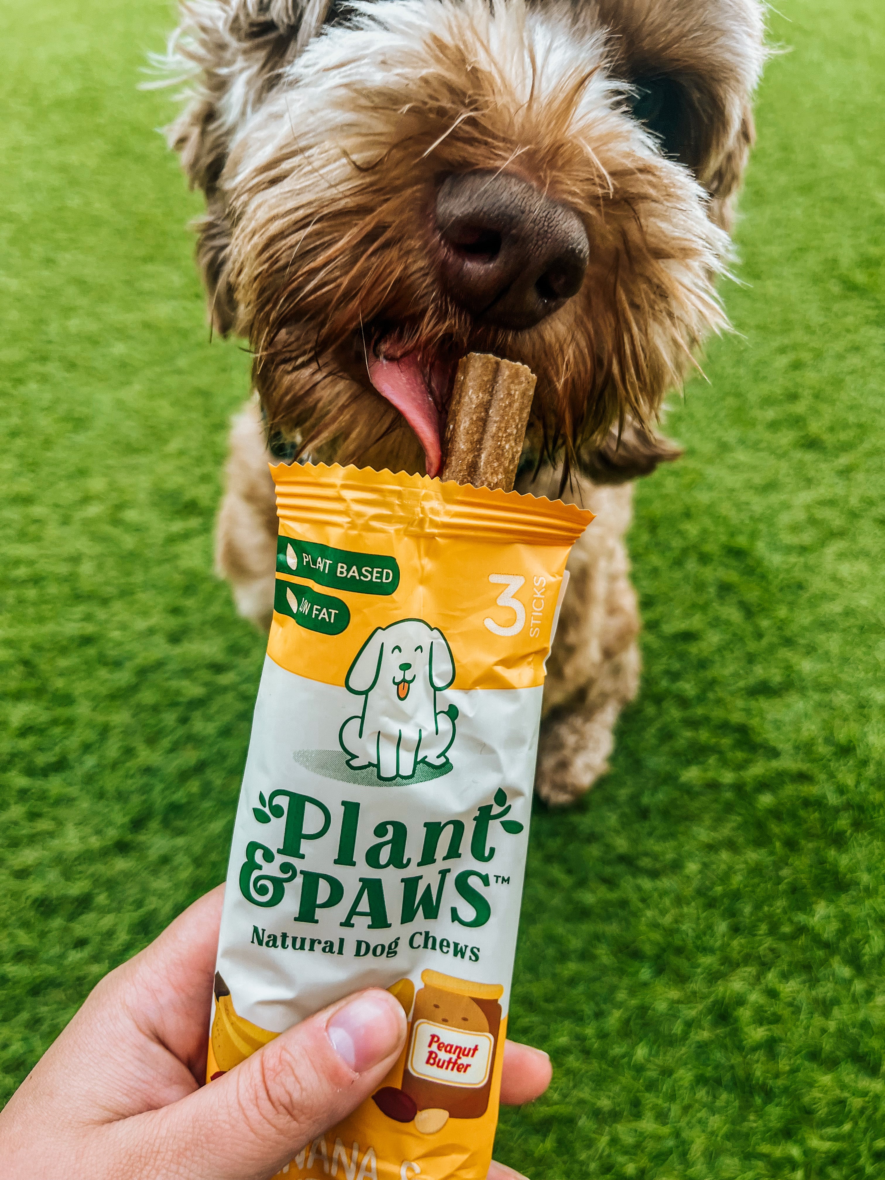 Vegan 2024 dog chews