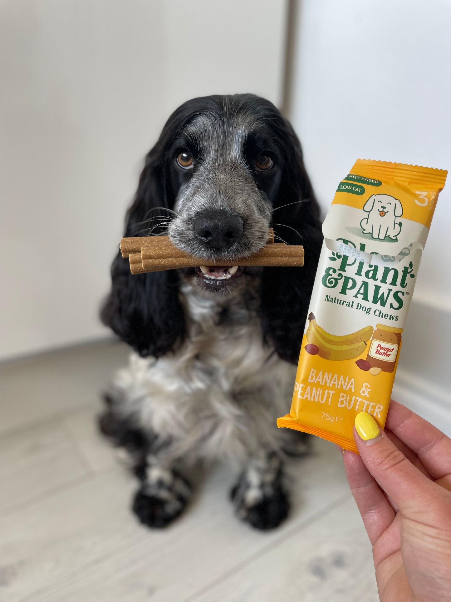 10 Pack Dog Chews Banana and Peanut Butter