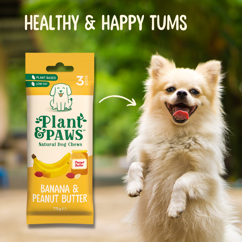 10 Pack Dog Chews Banana and Peanut Butter