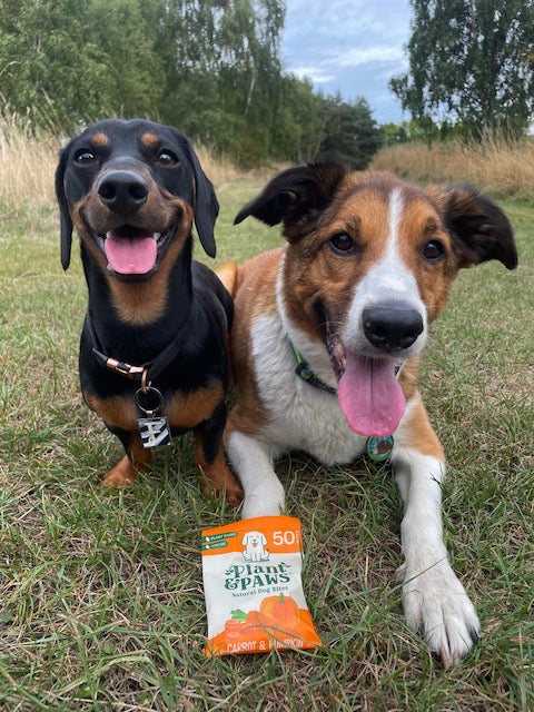 10 Pack Natural Bites Carrot and Pumpkin