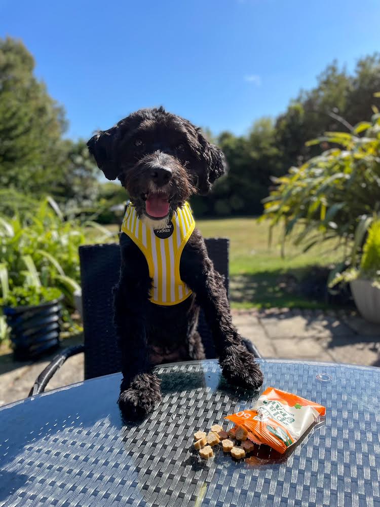 10 Pack Natural Bites Carrot and Pumpkin