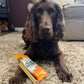 10 Pack Dog Chews Carrot and Pumpkin