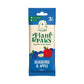 Blueberry and Apple Single Pack Dog Chew